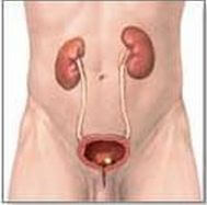 Урологические заболевания