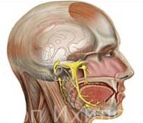 Воспаление тройничного нерва - заболевание