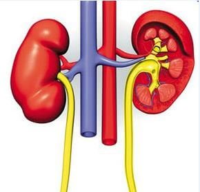 Лечение закупорки мочевыделительной системы в Израиле