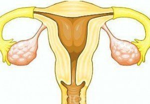 урогинекология