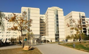 Больница Бейлисон