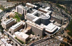 Клиника Хадасса