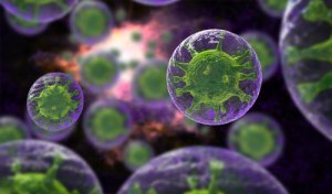 раковые клетки